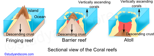 coral reef, fringing reef, barrier reef, atoll, ocean, corals, phylum cnidaria